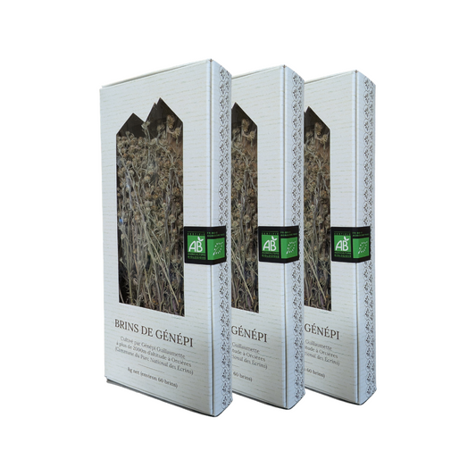 Organic Genepi Sprigs | Hautes-Alpes - 8g