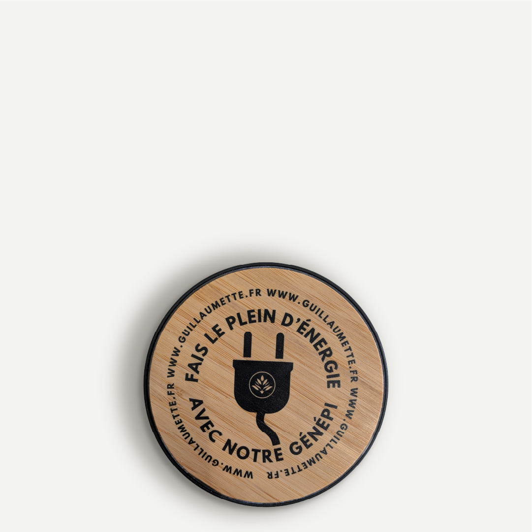 Guillaumette induction charger - 15W