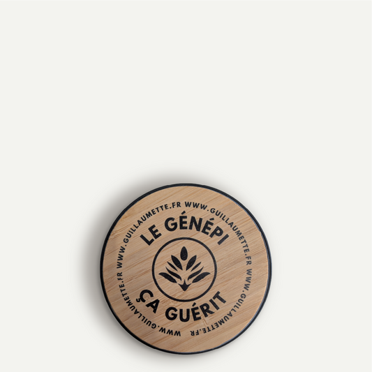 Guillaumette induction charger - 15W